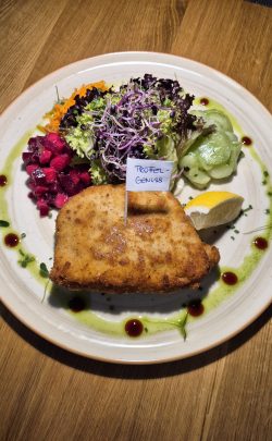 WhatsApp Image 2025-12-28 at 18.09.13